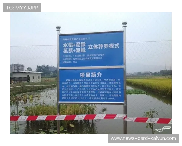 梅州如何利用降级契机重建俱乐部结构? 梅州如何利用降级契机重建俱乐部结构?